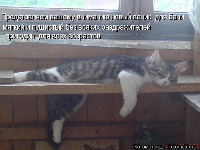 Представляем вашему вниманию новый веник для бани мягкий и пушистый без всяких раздражителей приго... Котоматрица: Представляем вашему вниманию новый веник для бани мягкий и пушистый без всяких раздражителей пригодин для всех возрастов