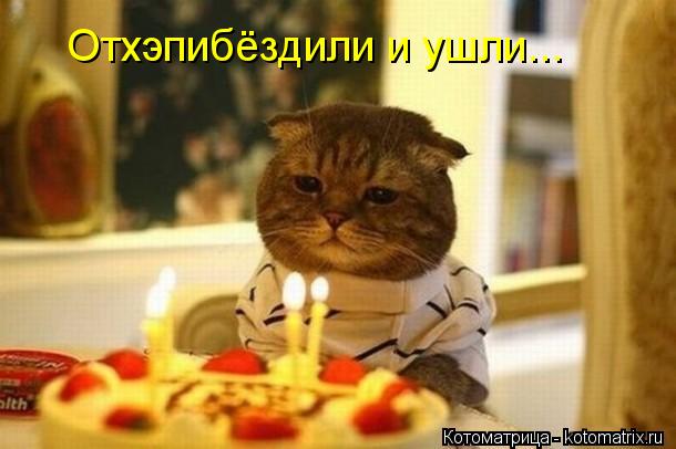 Котоматрица: Отхэпибёздили и ушли...