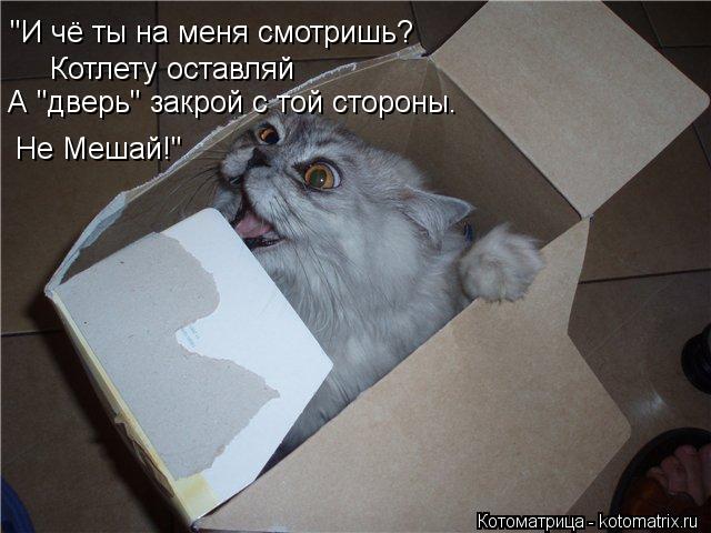 Котоматрица: "И чё ты на меня смотришь? Котлету оставляй А "дверь" закрой с той стороны.  Не Мешай!"