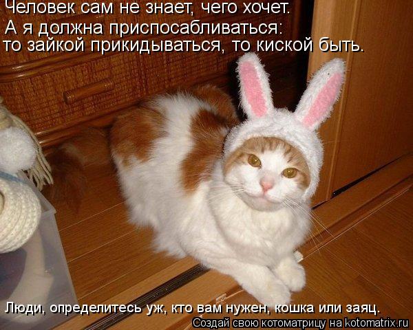 Котоматрица: Человек сам не знает, чего хочет. А я должна приспосабливаться: то зайкой прикидываться, то киской быть. Люди, определитесь уж, кто вам нужен,