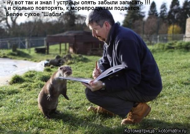 Котоматрица: - ну вот так и знал ! устрицы опять забыли записать !!! - и сколько повторять, к морепродуктам подается белое сухое "Шабли" !!!