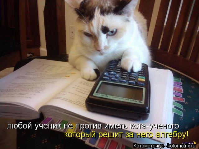 Котоматрица: любой ученик не против иметь кота-ученого который решит за него алгебру!