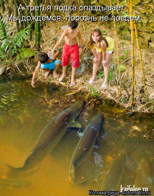 А третья лодка опаздывает. Мы дождемся, порознь не поедем.... Котоматрица: А третья лодка опаздывает. Мы дождемся, порознь не поедем.