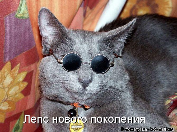 Котоматрица: Лепс нового поколения