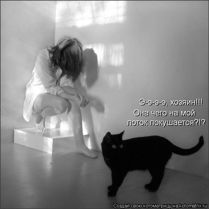 Котоматрица: Э-э-э-э, хозяин!!! лоток покушается?!? Она чего на мой