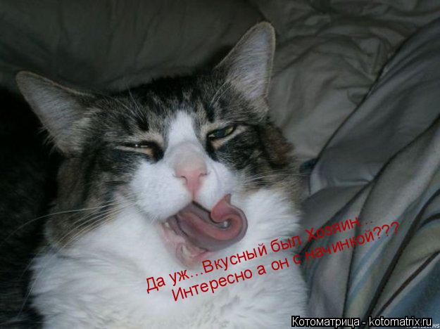 Котоматрица: Да уж...Вкусный был Хозяин... Интересно а он с начинкой???