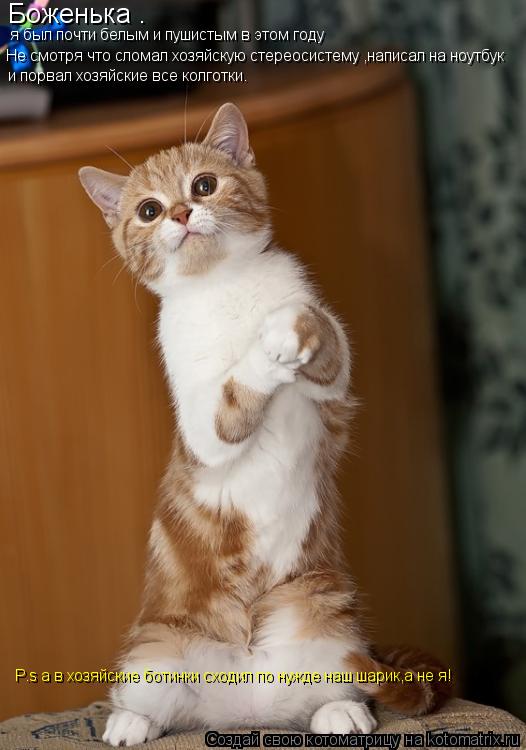 Котоматрица: Боженька . я был почти белым и пушистым в этом году Не смотря что сломал хозяйскую стереосистему ,написал на ноутбук  и порвал хозяйские все 