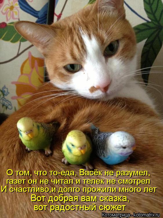 О том, что то-еда, Васёк не разумел, газет он не читал и телек не смотрел И счастливо,и долго прожили... Котоматрица: О том, что то-еда, Васёк не разумел, газет он не читал и телек не смотрел И счастливо,и долго прожили много лет Вот добрая вам сказка, вот радо