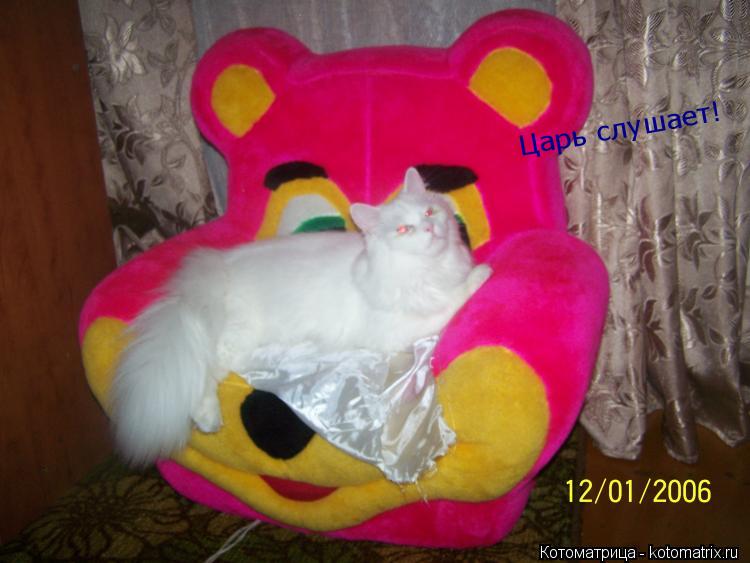 Котоматрица: Царь слушает!