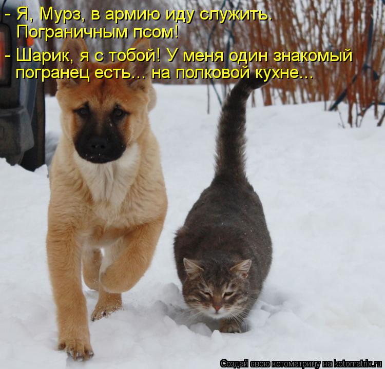 - Я, Мурз, в армию иду служить. Пограничным псом! - Шарик, я с тобой! У меня один знакомый погранец... Котоматрица: - Я, Мурз, в армию иду служить. Пограничным псом! - Шарик, я с тобой! У меня один знакомый погранец есть... на полковой кухне...