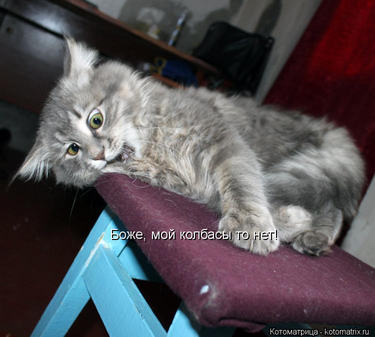 Котоматрица: Боже, мой колбасы то нет!