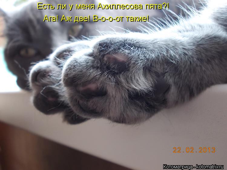 Котоматрица: Есть ли у меня Ахиллесова пята?! Ага! Аж две! В-о-о-от такие!