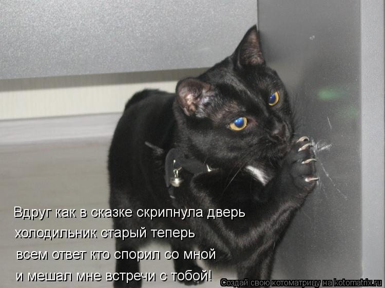 Котоматрица: Вдруг как в сказке скрипнула дверь холодильник старый теперь всем ответ кто спорил со мной и мешал мне встречи с тобой!