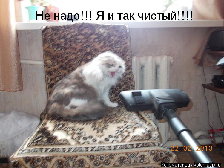 Котоматрица: Не надо!!! Я и так чистый!!!!