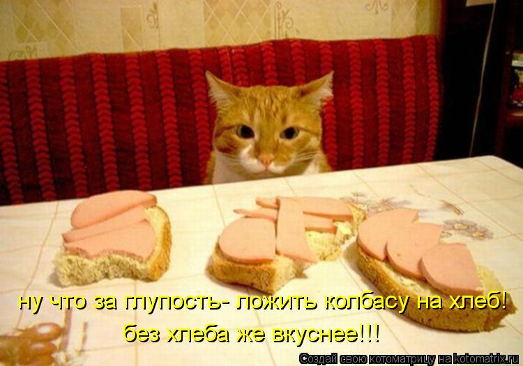 Котоматрица: ну что за глупость- ложить колбасу на хлеб! без хлеба же вкуснее!!!