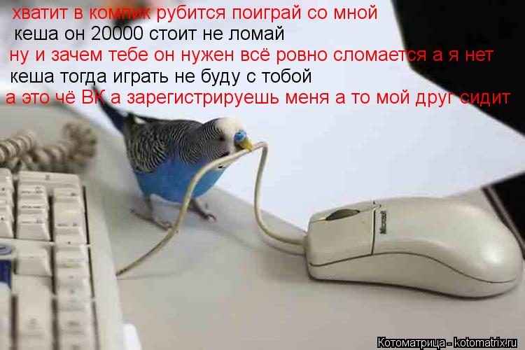 Котоматрица: кеша он 20000 стоит не ломай ну и зачем тебе он нужен всё ровно сломается а я нет  хватит в компик рубится поиграй со мной кеша тогда играть не б