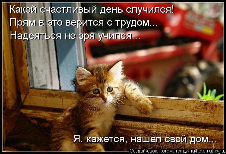 Какой счастливый день случился! Прям в это верится с трудом... Я. кажется, нашел свой дом... Надеять... Котоматрица: Какой счастливый день случился! Прям в это верится с трудом... Я. кажется, нашел свой дом... Надеяться не зря учился...
