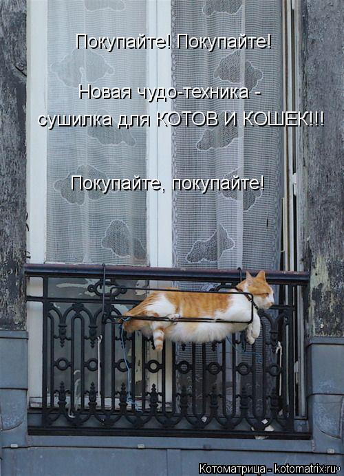 Котоматрица: Покупайте! Покупайте! Новая чудо-техника - сушилка для КОТОВ И КОШЕК!!! Покупайте, покупайте!