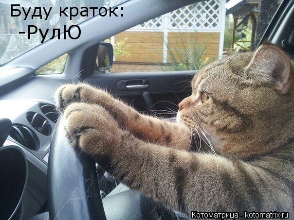 Буду краток: -РулЮ... Котоматрица: Буду краток: -РулЮ