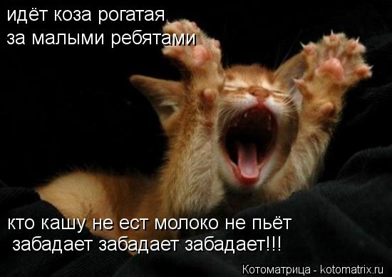 Котоматрица: идёт коза рогатая за малыми ребятами кто кашу не ест молоко не пьёт забадает забадает забадает!!!