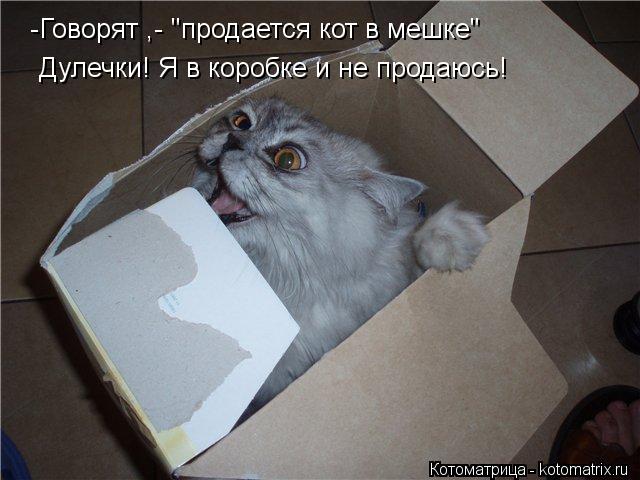 Котоматрица: -Говорят ,- "продается кот в мешке" Дулечки! Я в коробке и не продаюсь!