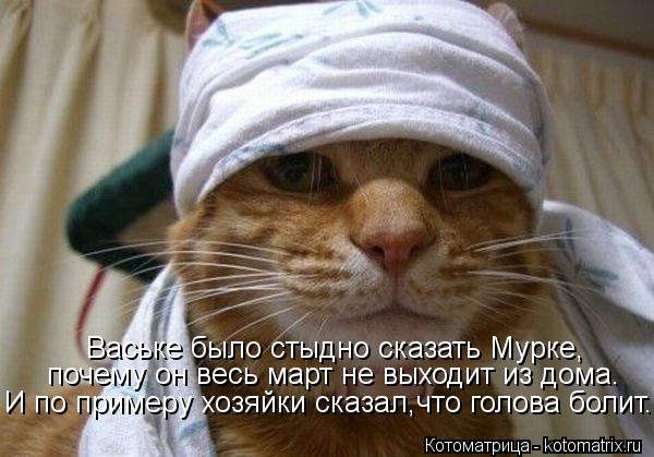 Котоматрица: Ваське было стыдно сказать Мурке,  почему он весь март не выходит из дома. И по примеру хозяйки сказал,что голова болит...