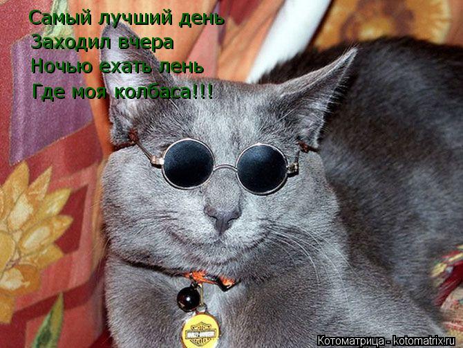 Котоматрица: Самый лучший день  Заходил вчера Ночью ехать лень Где моя колбаса!!!