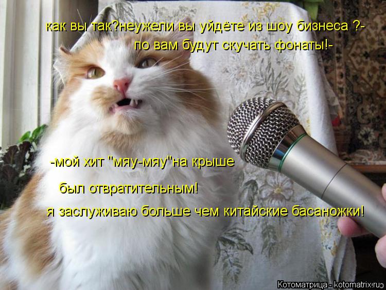 Котоматрица: как вы так?неужели вы уйдёте из шоу бизнеса ?- по вам будут скучать фонаты!- -мой хит "мяу-мяу"на крыше был отвратительным! я заслуживаю больше 