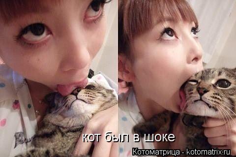 Котоматрица: кот был в шоке
