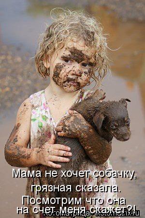 Котоматрица: Мама не хочет собачку, грязная сказала. Посмотрим что она  на счет меня скажет?!