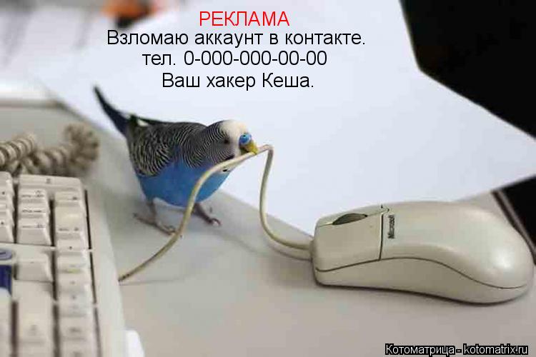 РЕКЛАМА Взломаю аккаунт в контакте. тел. 0-000-000-00-00 Ваш хакер Кеша.... Котоматрица: РЕКЛАМА Взломаю аккаунт в контакте. тел. 0-000-000-00-00 Ваш хакер Кеша.