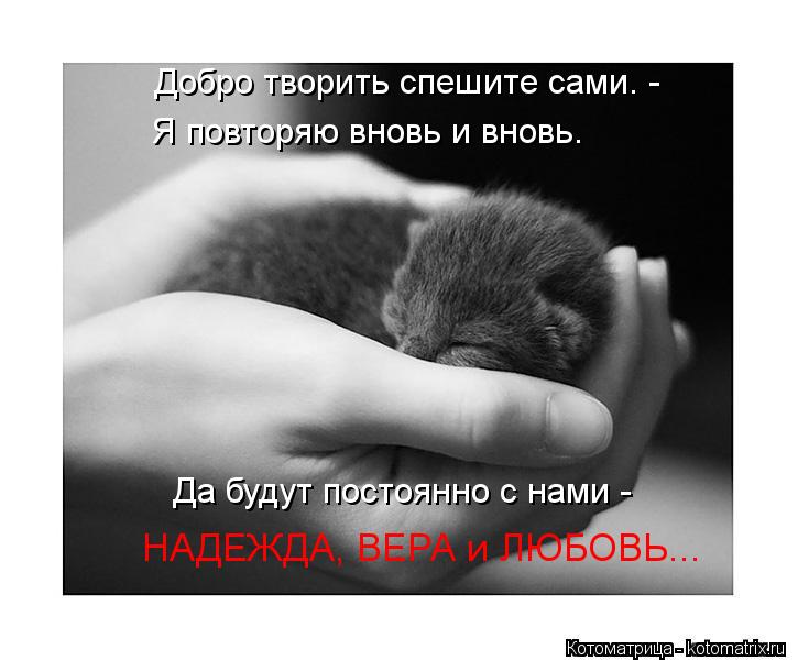 Добро творить спешите сами. - Я повторяю вновь и вновь. Да будут постоянно с нами - НАДЕЖДА, ВЕРА и Л... Котоматрица: Добро творить спешите сами. - Я повторяю вновь и вновь. Да будут постоянно с нами - НАДЕЖДА, ВЕРА и ЛЮБОВЬ...