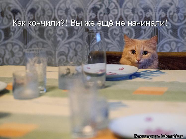 Котоматрица: Как кончили?! Вы же ещё не начинали!