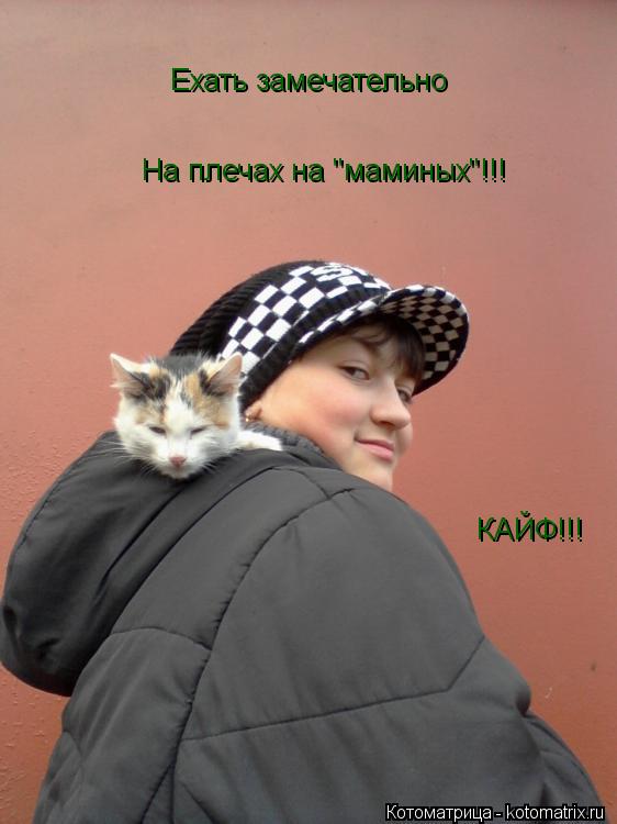 Ехать замечательно На плечах на "маминых"!!! КАЙФ!!!... Котоматрица: Ехать замечательно На плечах на "маминых"!!! КАЙФ!!!