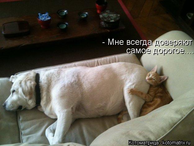 - Мне всегда доверяют самое дорогое........ Котоматрица: - Мне всегда доверяют самое дорогое.....