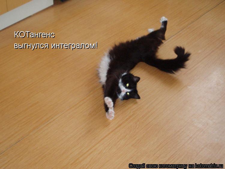 Котоматрица: КОТангенс выгнулся интегралом!