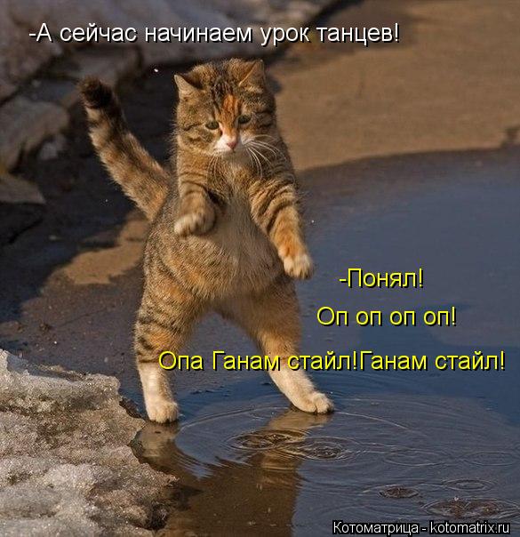 -А сейчас начинаем урок танцев! -Понял! Оп оп оп оп! Опа Ганам стайл!Ганам стайл!... Котоматрица: -А сейчас начинаем урок танцев! -Понял! Оп оп оп оп! Опа Ганам стайл!Ганам стайл!