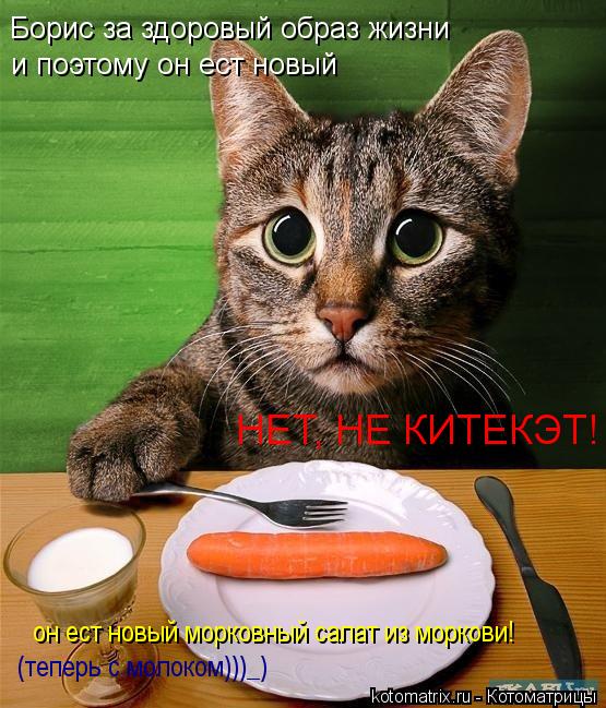 Котоматрица: Борис за здоровый образ жизни и поэтому он ест новый НЕТ, НЕ КИТЕКЭТ! он ест новый морковный салат из моркови! (теперь с молоком)))_)