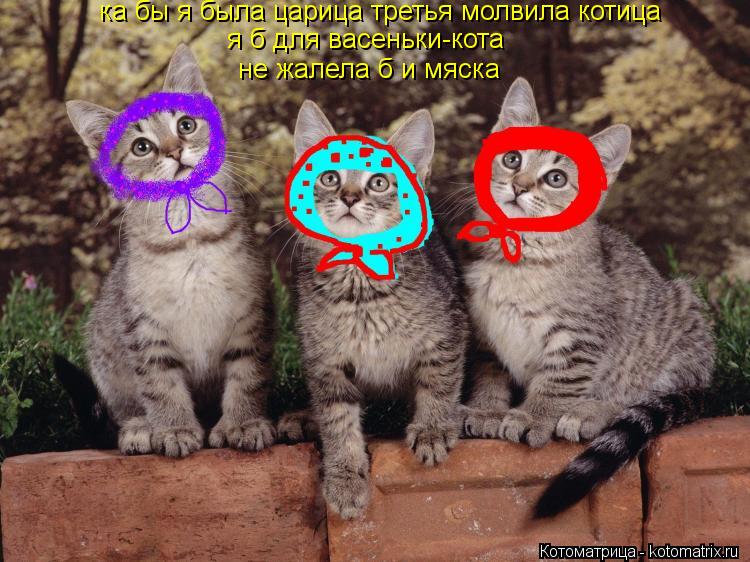 Котоматрица: ка бы я была царица третья молвила котица я б для васеньки-кота не жалела б и мяска