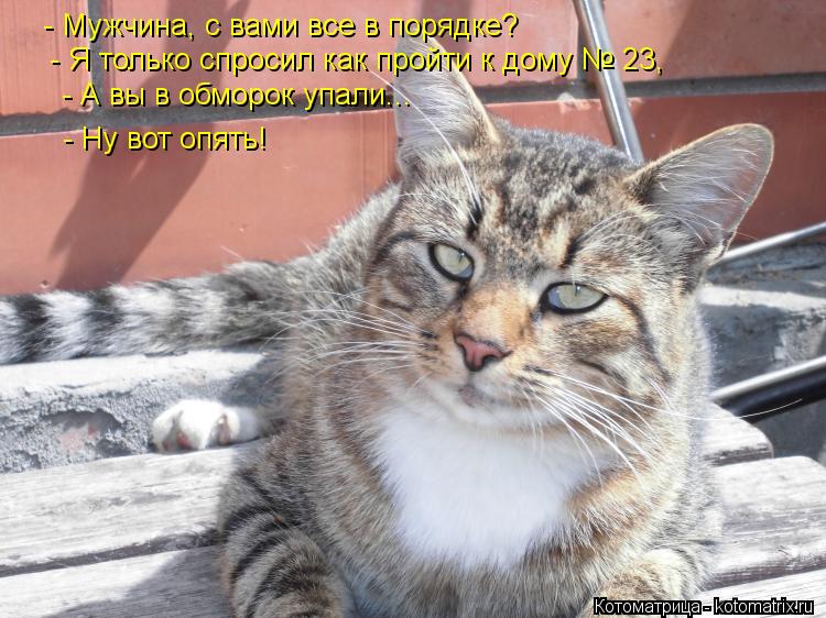 Котоматрица: - Мужчина, с вами все в порядке?  - Я только спросил как пройти к дому № 23,  - А вы в обморок упали...  - Ну вот опять!