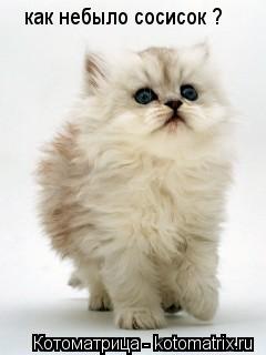 как небыло сосисок ?... Котоматрица: как небыло сосисок ?