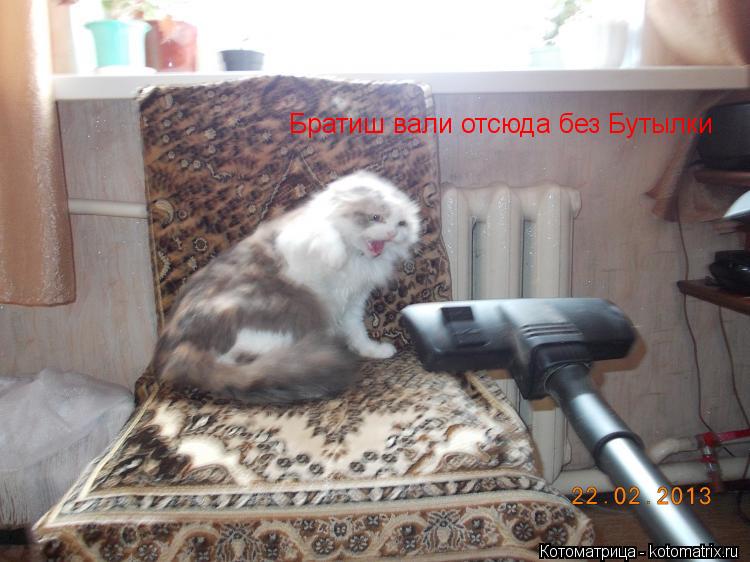 Котоматрица: Братиш вали отсюда без Бутылки