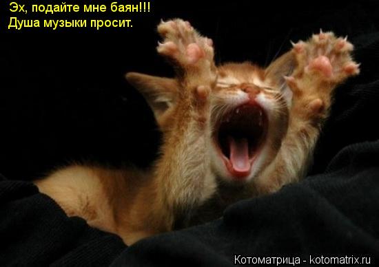 Эх, подайте мне баян!!! Душа музыки просит.... Котоматрица: Эх, подайте мне баян!!! Душа музыки просит.