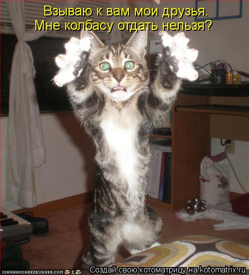 Котоматрица: Взываю к вам мои друзья. Мне колбасу отдать нельзя?