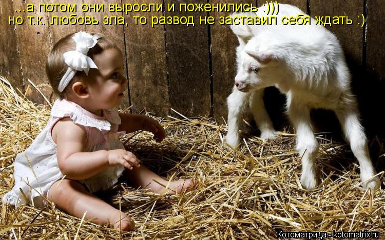 ...а потом они выросли и поженились :))) но т.к. любовь зла, то развод не заставил себя ждать :)... Котоматрица: ...а потом они выросли и поженились :))) но т.к. любовь зла, то развод не заставил себя ждать :)