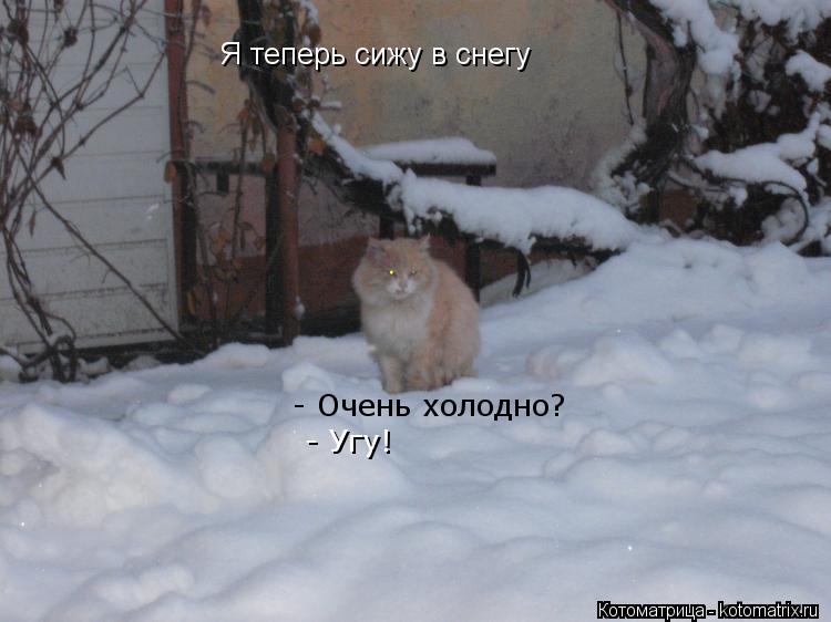 Котоматрица: Я теперь сижу в снегу  - Очень холодно?  - Угу!