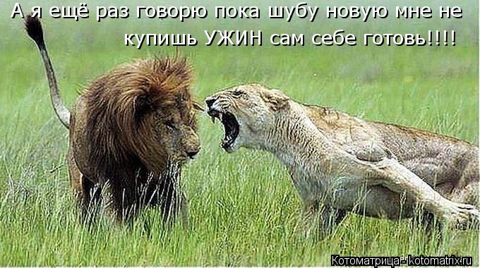 А я ещё раз говорю пока шубу новую мне не купишь УЖИН сам себе готовь!!!!... Котоматрица: А я ещё раз говорю пока шубу новую мне не купишь УЖИН сам себе готовь!!!!