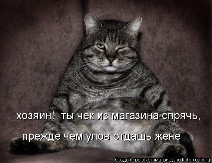 Котоматрица: прежде чем улов отдашь жене хозяин!  ты чек из магазина спрячь,