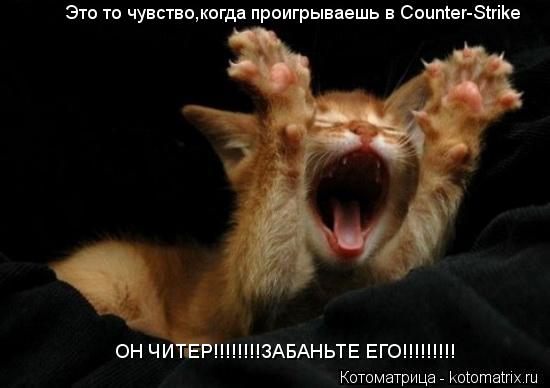 Это то чувство,когда проигрываешь в Counter-Strike ОН ЧИТЕР!!!!!!!!ЗАБАНЬТЕ ЕГО!!!!!!!!!... Котоматрица: Это то чувство,когда проигрываешь в Counter-Strike ОН ЧИТЕР!!!!!!!!ЗАБАНЬТЕ ЕГО!!!!!!!!!