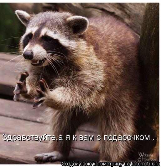 Котоматрица: Здравствуйте,а я к вам с подарочком...